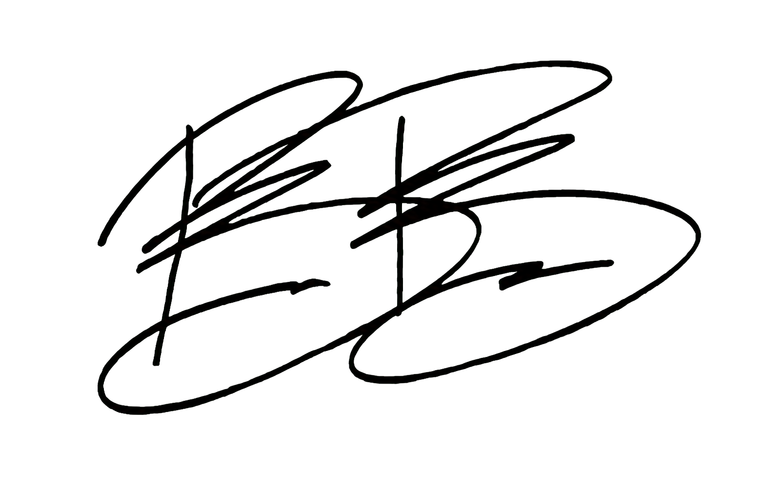 Brad Beracha's signature